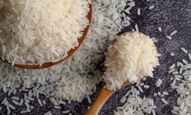 Alarm Beras Dunia: Mengapa Ekspor Thailand Turun Drastis?