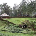 Kota Purbalingga Punya Keindahan Alam & Kuliner Yang Menarik