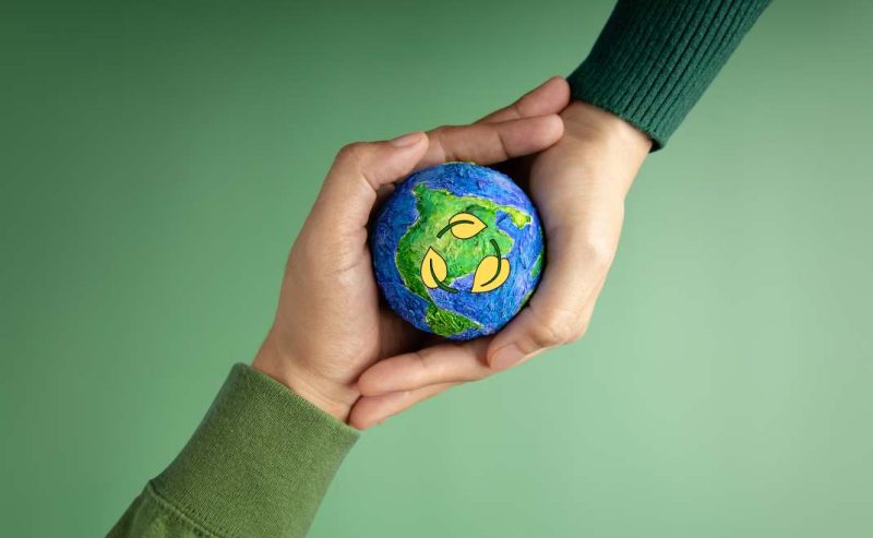 Perkembangan Politik Hijau