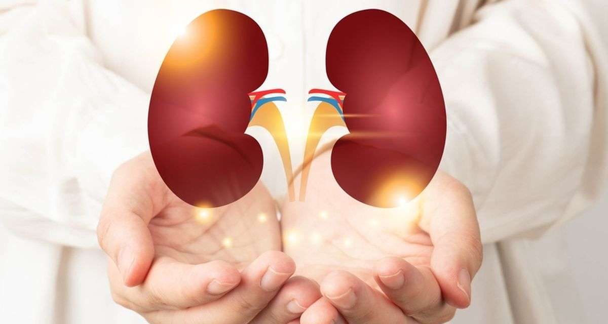 Sehat Alami, Ramuan Herbal Ini Bisa Jaga Kesehatan Ginjal