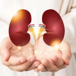 Sehat Alami, Ramuan Herbal Ini Bisa Jaga Kesehatan Ginjal