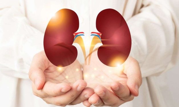 Sehat Alami, Ramuan Herbal Ini Bisa Jaga Kesehatan Ginjal