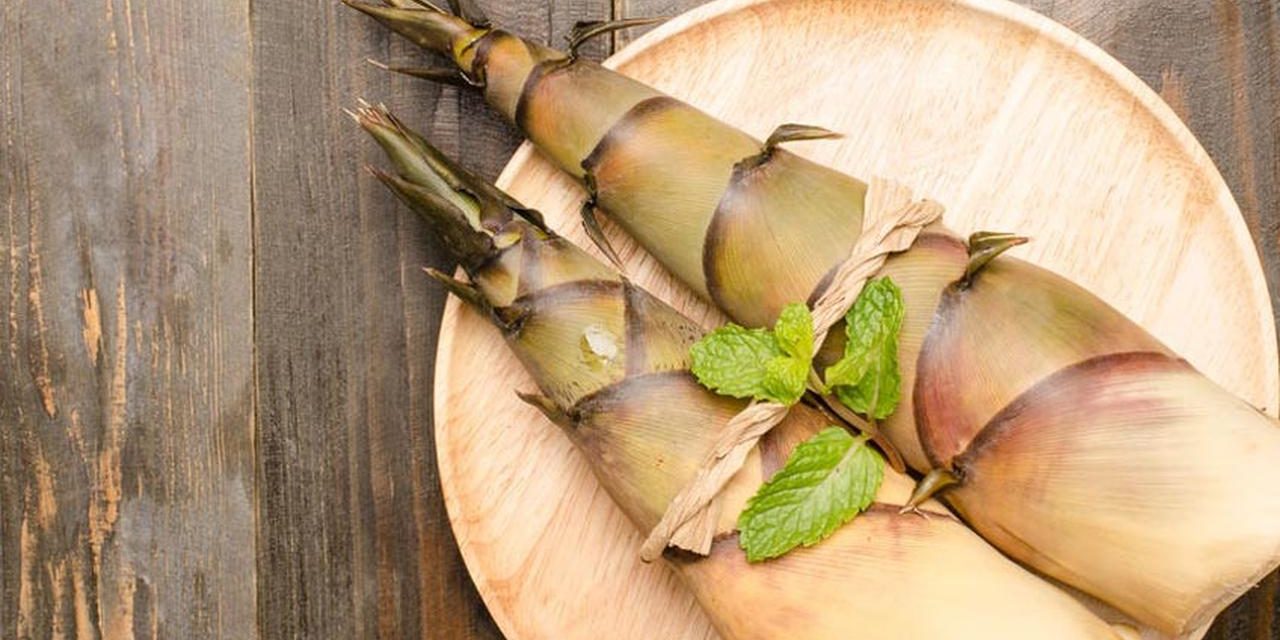 Fakta Rebung Bambu Yang Jarang Diketahui Banyak Orang!