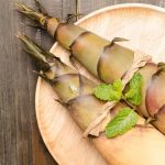 Fakta Rebung Bambu Yang Jarang Diketahui Banyak Orang!