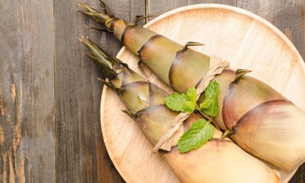 Fakta Rebung Bambu Yang Jarang Diketahui Banyak Orang!