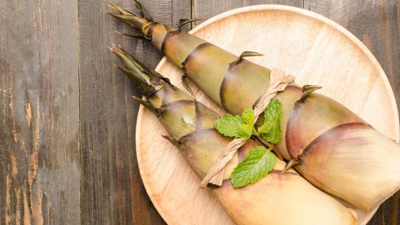 Fakta Rebung Bambu