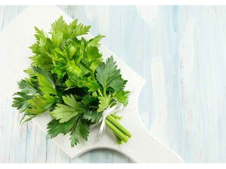Tanaman Seledri Daun Herbal Punya Kandungan Untuk Kesehatan
